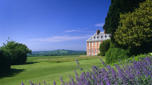 The house and parkland at Uppark, West Sussex, with lush trees in the foreground.